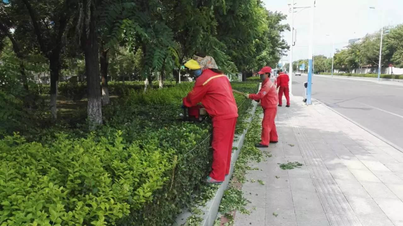 绿化养护行业的最新动态解析